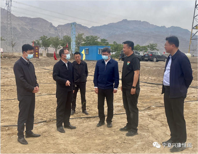 石嘴山市委書記王剛及市領導趙會勇、王宇翔蒞臨公司萬畝酸棗種植基地現(xiàn)場調研指導工作