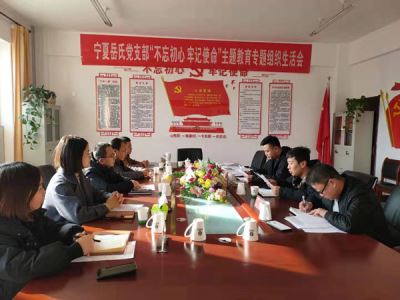 寧夏岳氏黨支部召開“不忘初心，牢記使命”主題教育專題組織生活會