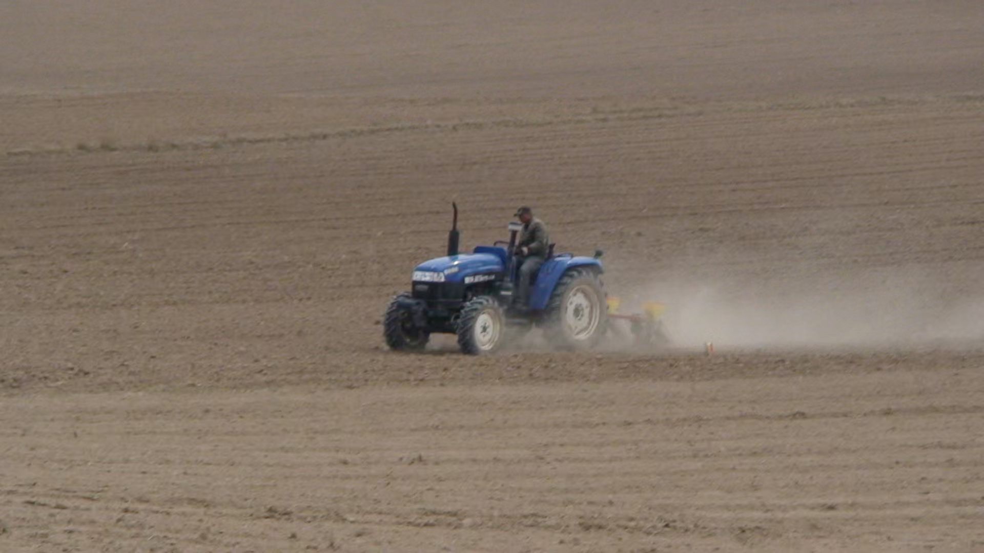 父親節(jié)特輯｜岳氏家族里的“父親力”：從血脈到事業(yè)，我們這樣讀懂“爸爸”